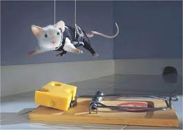 mousetrap